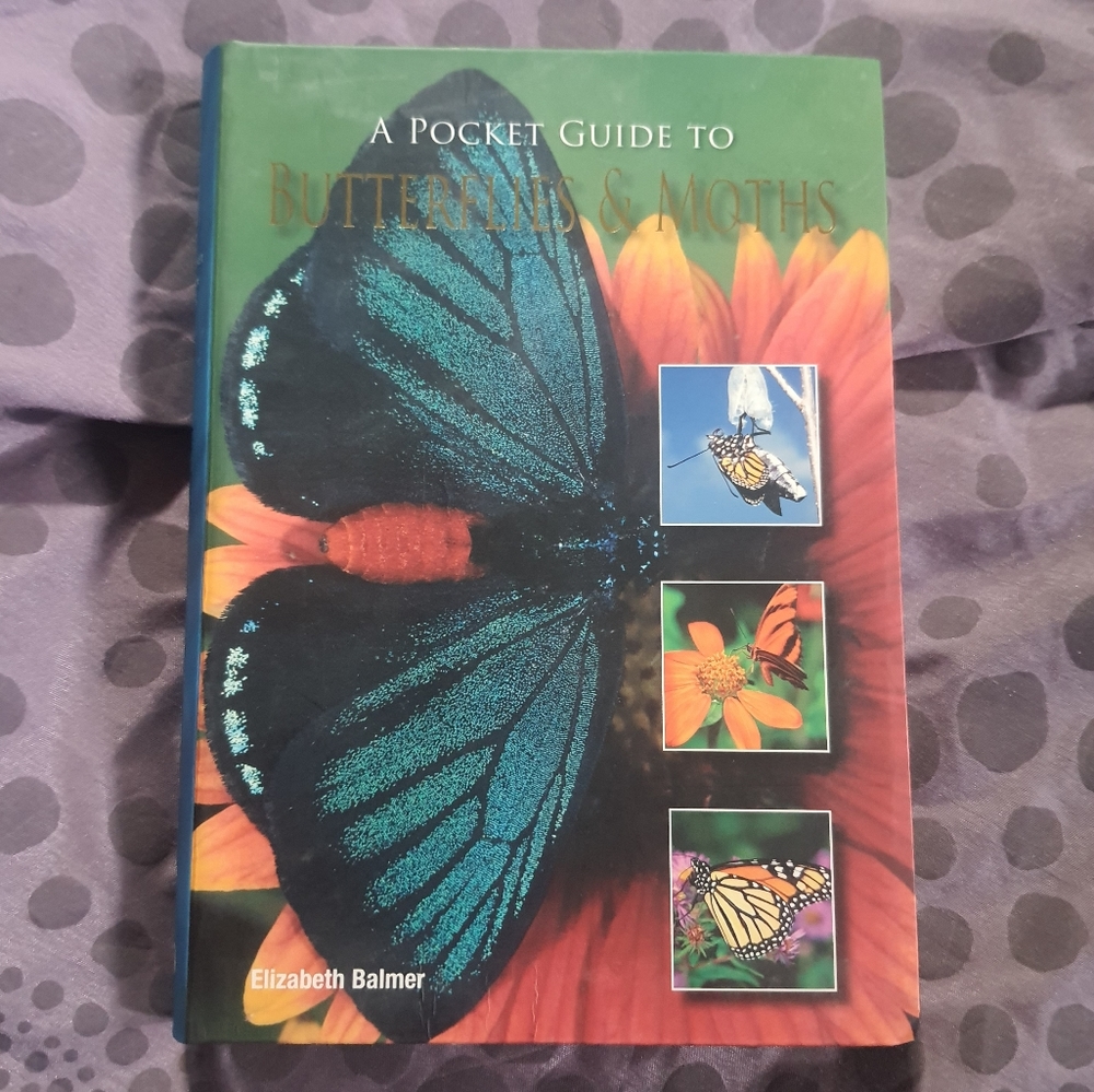A Pocket Guide to Butterflies and Moths Book Hardcover Dust Jacket